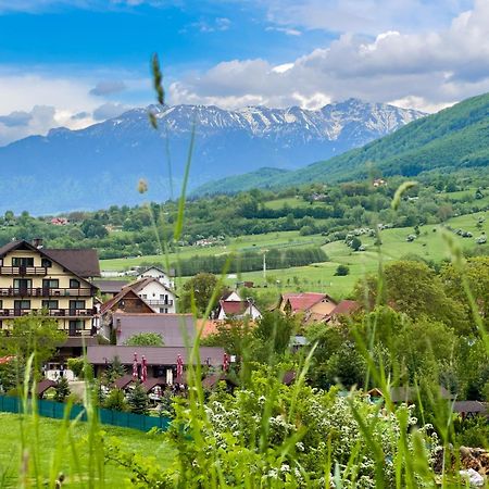 Vila Hora Cu Brazi Zarnesti Ngoại thất bức ảnh