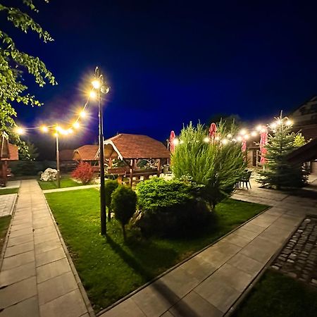 Vila Hora Cu Brazi Zarnesti Ngoại thất bức ảnh