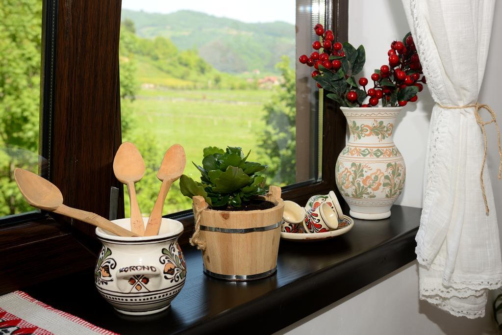 Vila Hora Cu Brazi Zarnesti Ngoại thất bức ảnh