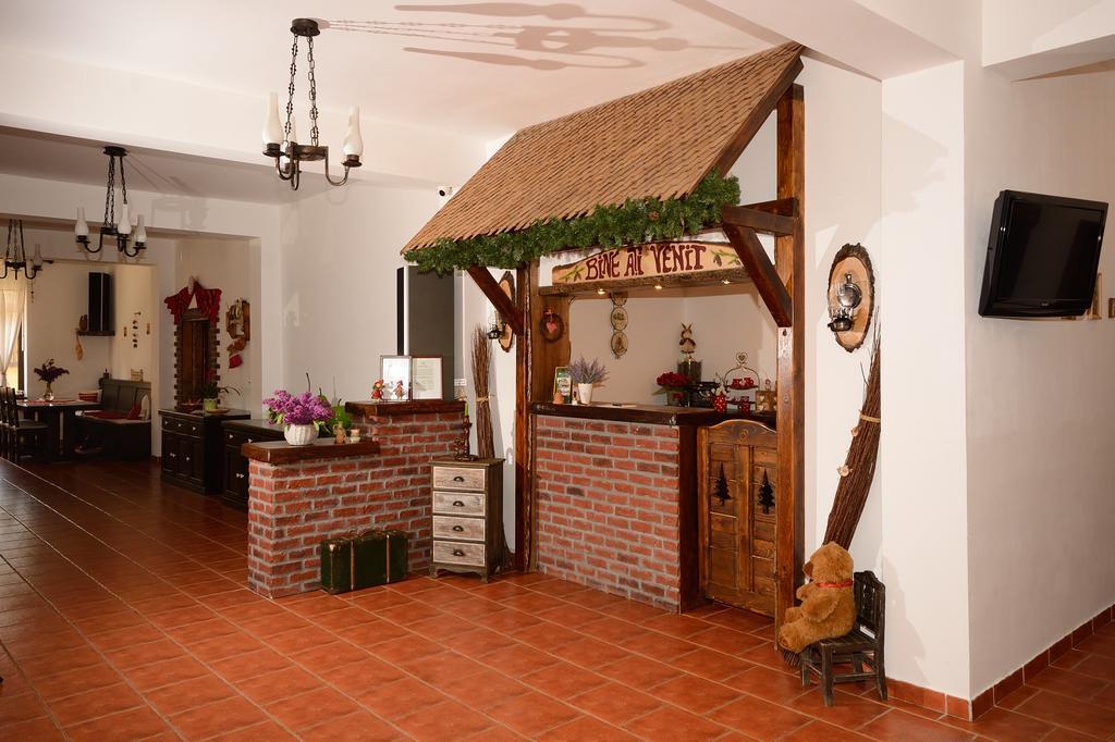 Vila Hora Cu Brazi Zarnesti Ngoại thất bức ảnh